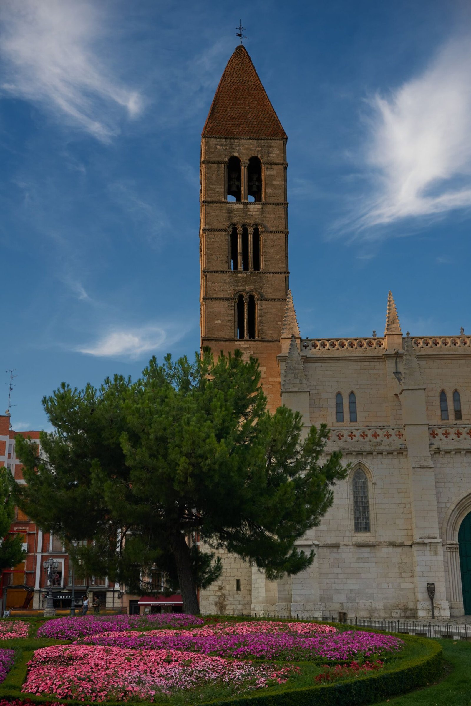 Torre románica de Santa María la Antigua, en Valladolid, junto a un pino