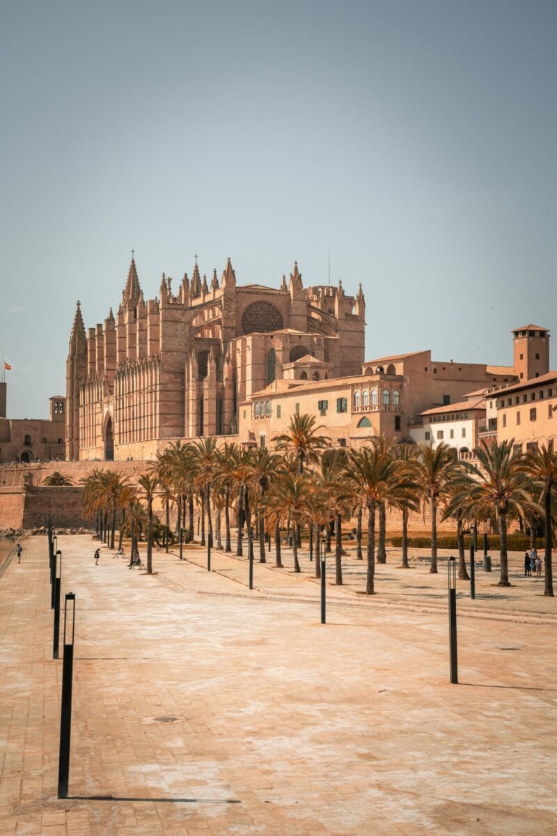 Catedral de Palma con su paseo de palmeras