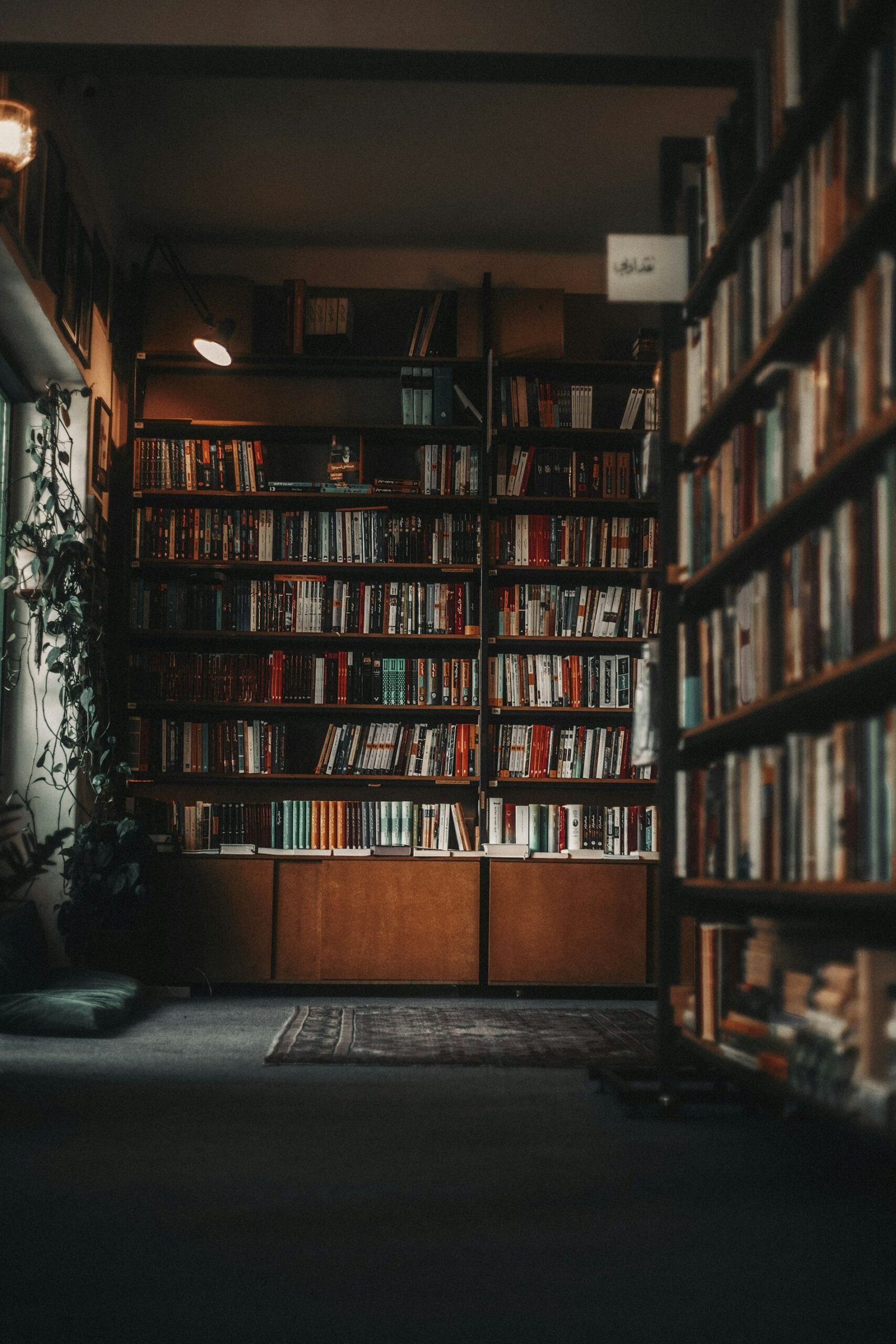 Estantería llena de libros junto a una ventana